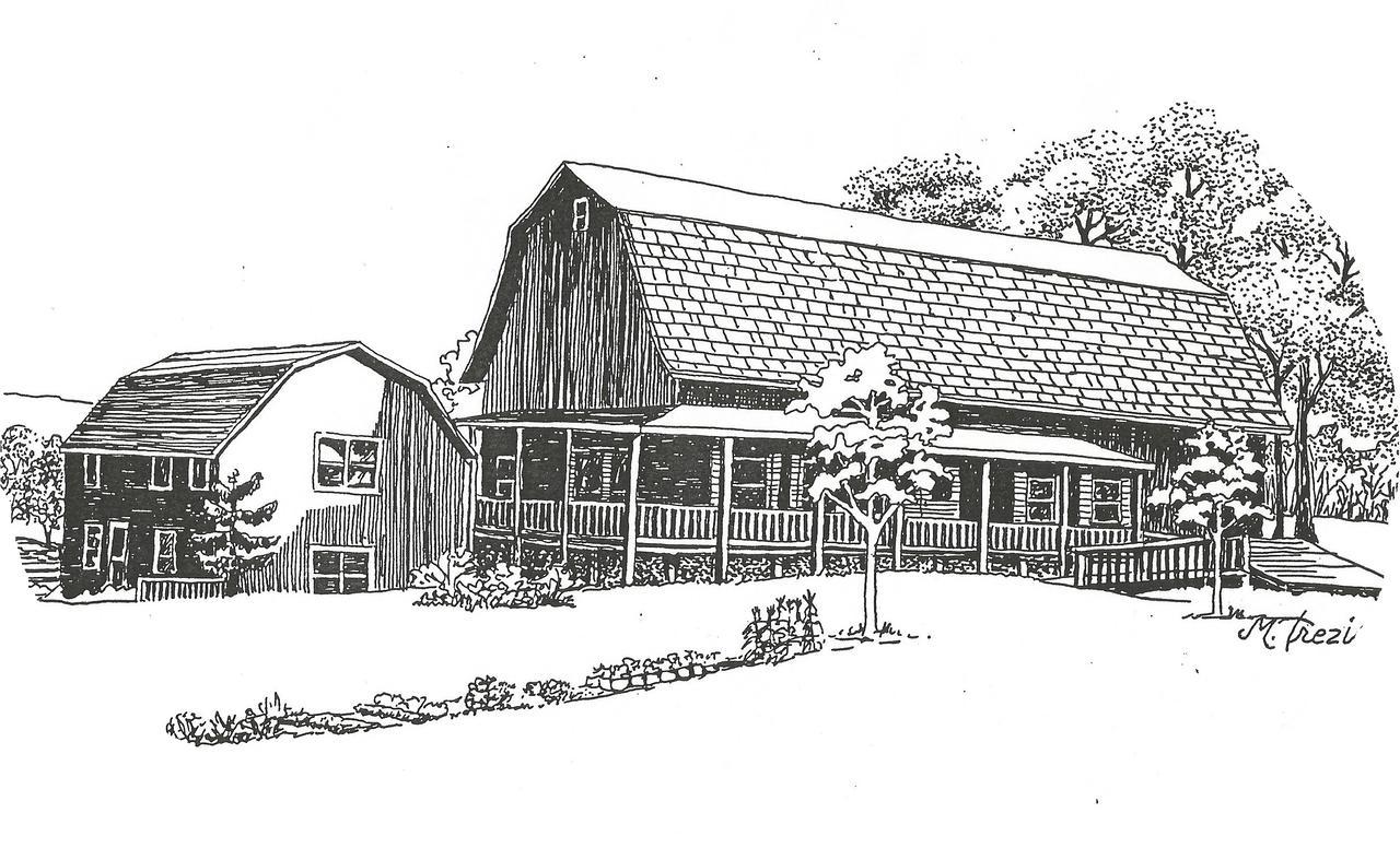 Bed and Breakfast The South Glenora Tree Farm à Dundee Extérieur photo