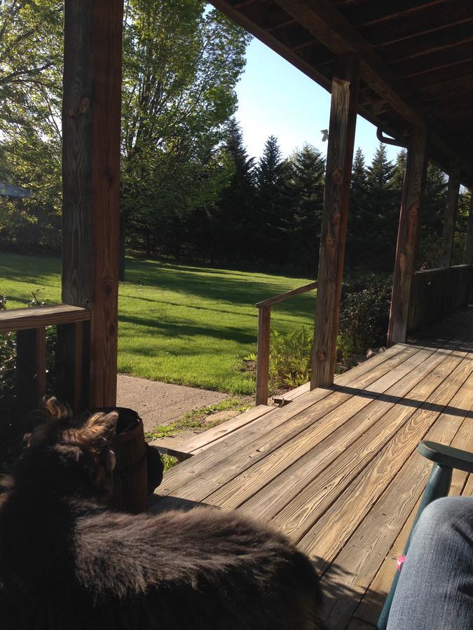 Bed and Breakfast The South Glenora Tree Farm à Dundee Extérieur photo