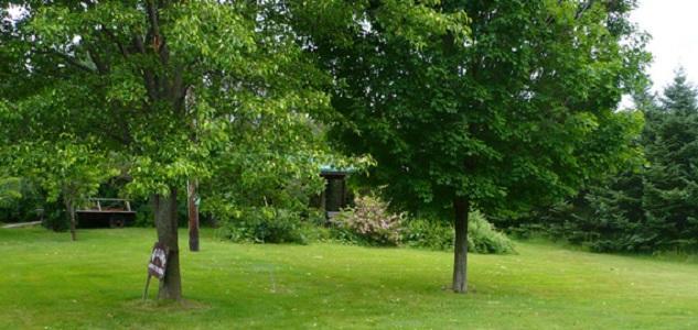 Bed and Breakfast The South Glenora Tree Farm à Dundee Extérieur photo